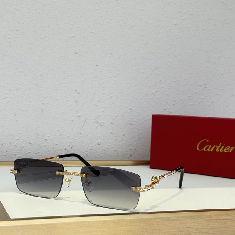 Cartier Glasses sms468